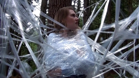 Spider Web 1