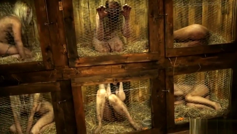 Rabbit Hutch full