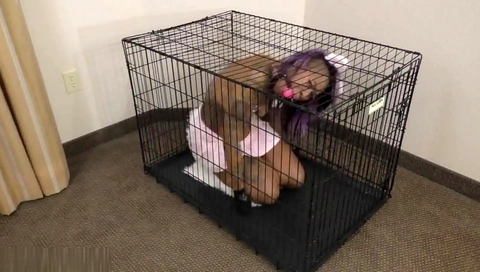 black petgirl ballgagged caged hands taped