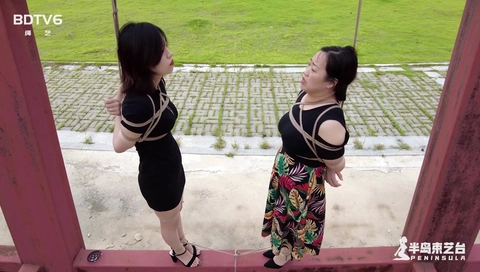 Public Bondage (subtitles Needed)