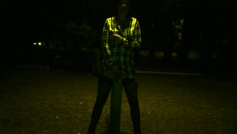 Kinky Couple Masturbates Together In A Public Park