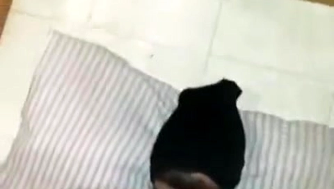 Girl Dirty Sock Worship Trampling