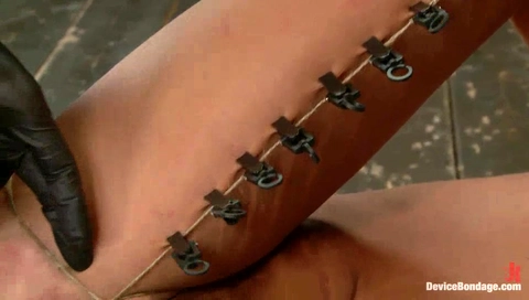 No Holds - Cassandra Nix - Kink