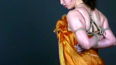 Model Trial