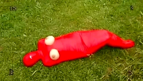 Insex Mummification